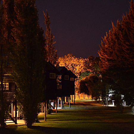 Cabanas Del Bajo Hondo 산페드로 외부 사진